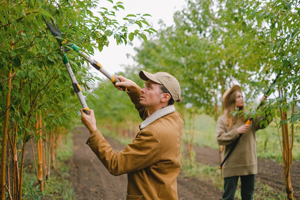 Penn State Extension to Host “Living on a Few Acres: Tree and Small Fruit Production”