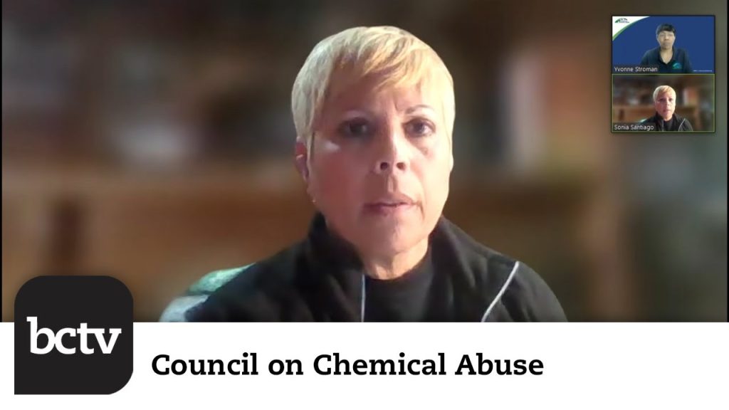 The Sober Truth on Alcohol | Council On Chemical Abuse