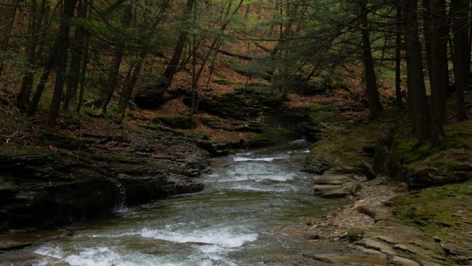 After Shapiro Admin’s Warning, U.S. Defense Cancels Low Military Operations Area Over PA Wilds
