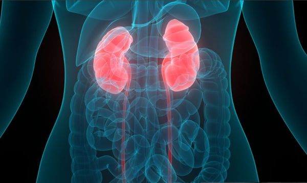Lifestyle Changes Can Reduce Risk of Chronic Kidney Disease