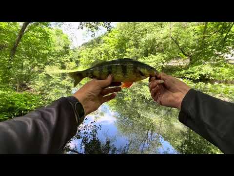 RAPTR Adventures: Episode 39 – Bike Fishing the Schuylkill River from Hamburg to Auburn, PA