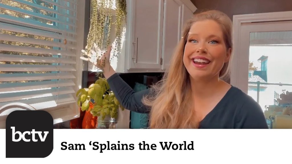Slammin Salmon, Saucey Succulents, and Smarter Soap. Oh My! Edition | Sam ‘Splains the World