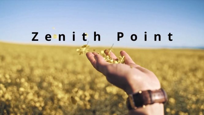 The Zenith Point