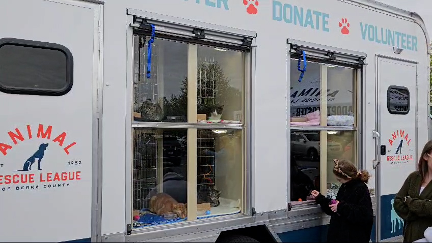 ARL Partners with Petco to Promote Cats’ Adoptions