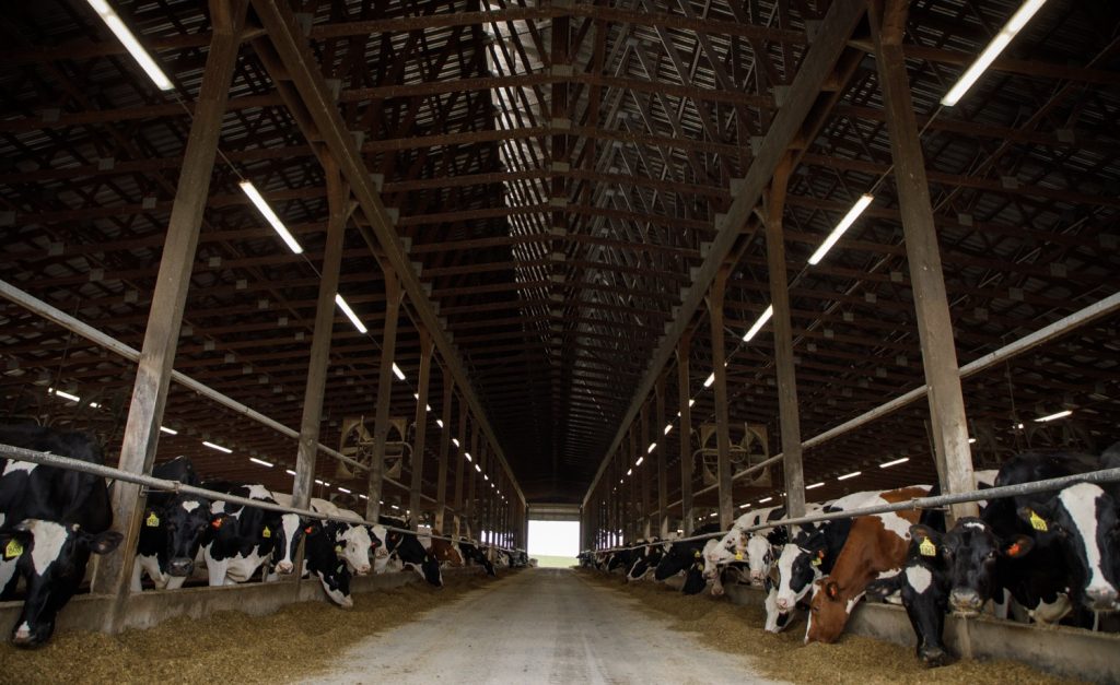 How Apprenticeships Are Helping Dairy Farmers Get Stuff Done