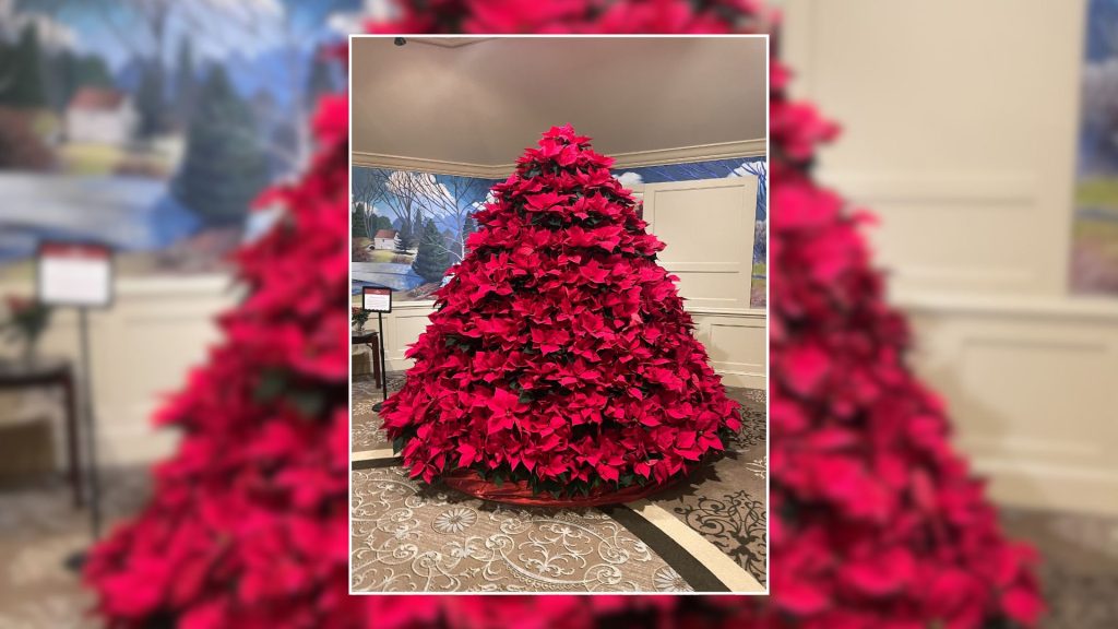 Holiday Poinsettia Tree at The Highlands at Wyomissing Honors Loved Ones