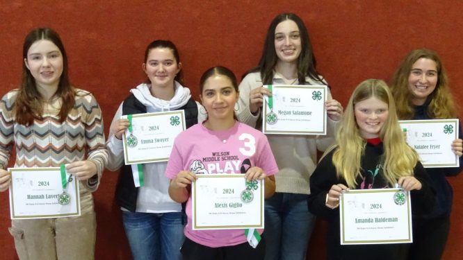 Berks County 4-H Horse Club Awards