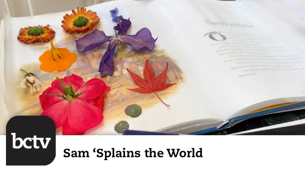 Drying Flowers Edition | Sam ‘Splains the World
