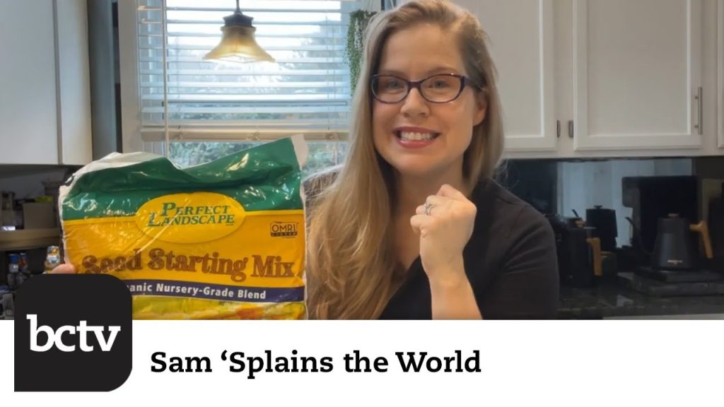 Seed Starting Cold Stratification | Sam ‘Splains the World