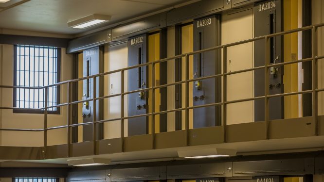 Great PA News Quiz: Home from Foreign Prison, Bird Flu Cases, and a New State GOP Chair