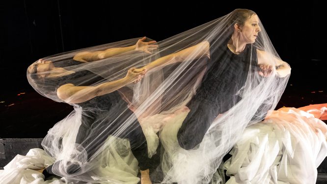 “23”: The Aftermath of Gun Violence – A Community Call to Action