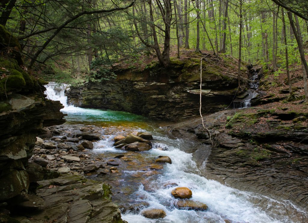 Forests for All: Connecting People to PA Forests and Outdoor Recreation