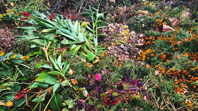 2025 City of Reading Yard Waste Collection Schedule