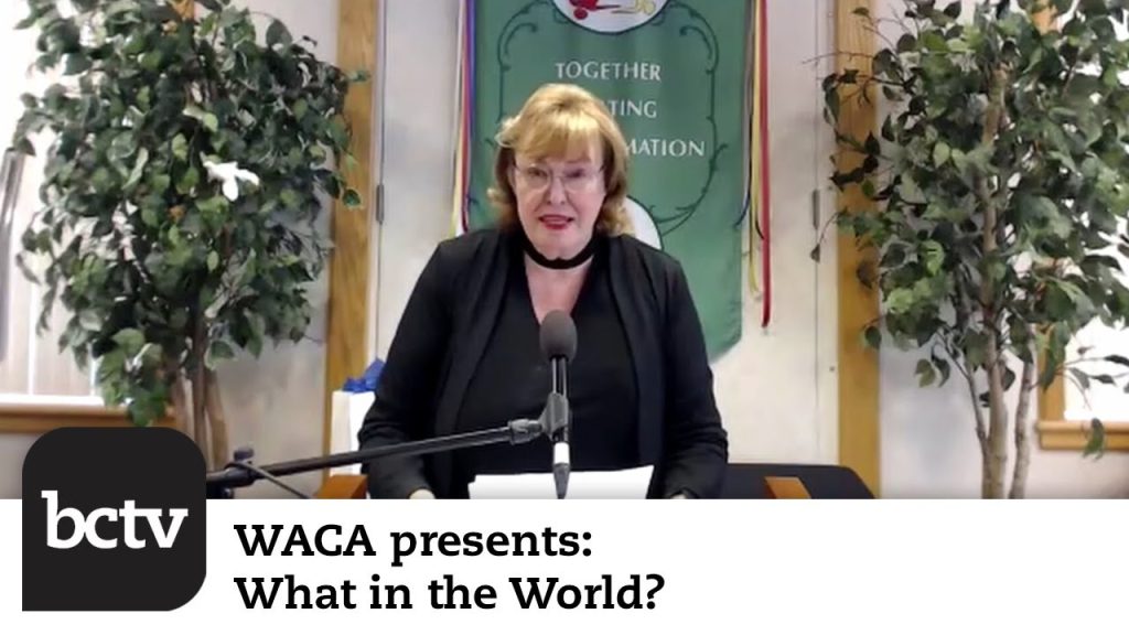 The Status of Women’s Global Leadership | WACA presents: What in the World?
