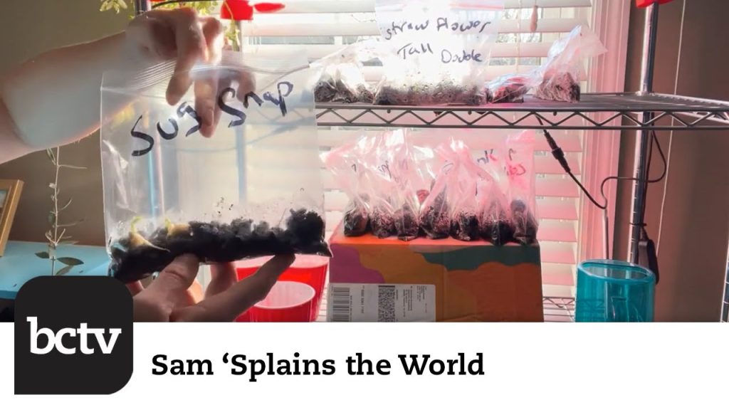 Transferring Seeds and More! | Sam ‘Splains the World