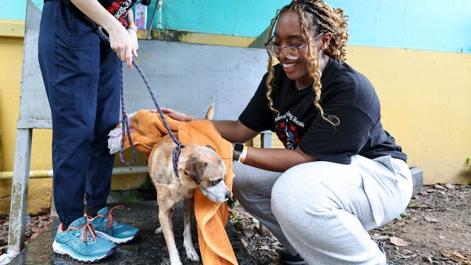 Berks Students Serve Puerto Rico Through Alternative Spring Break