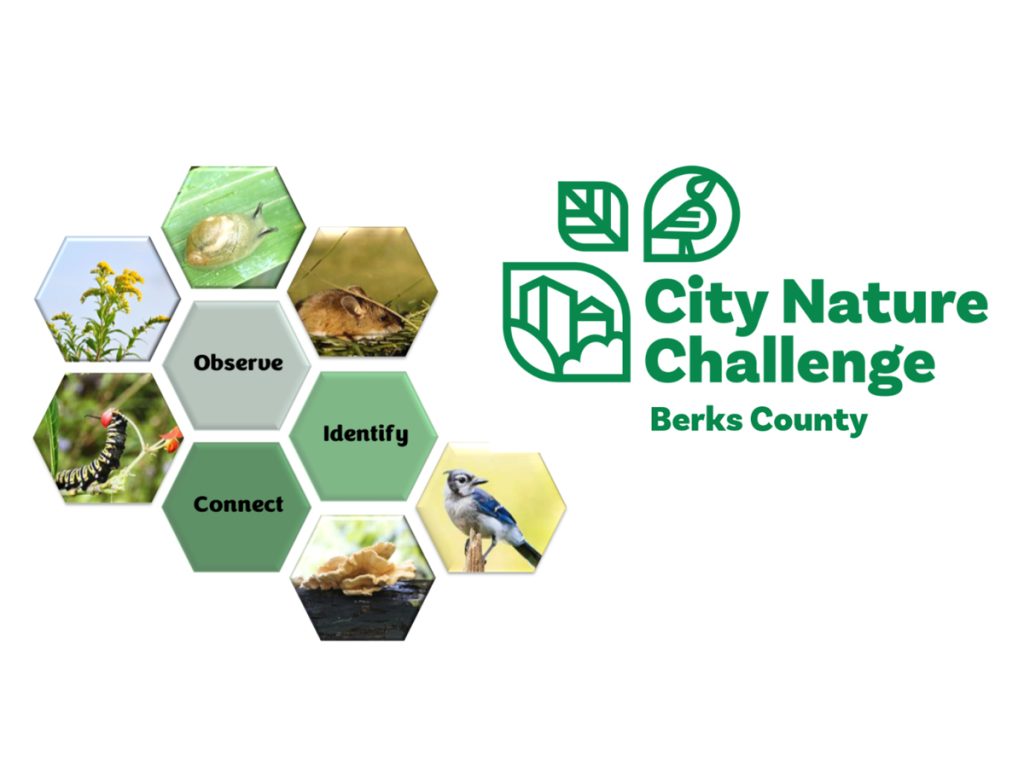 Penn State Berks Joins City Nature Challenge on April 27