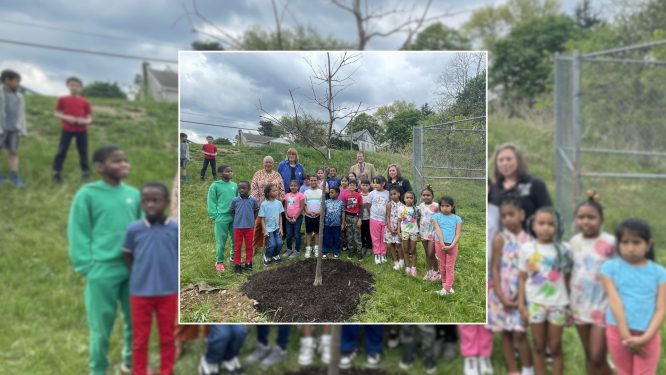 Department of Conservation and Natural Resources Launches New Way for Pennsylvanians to Support Tree Planting