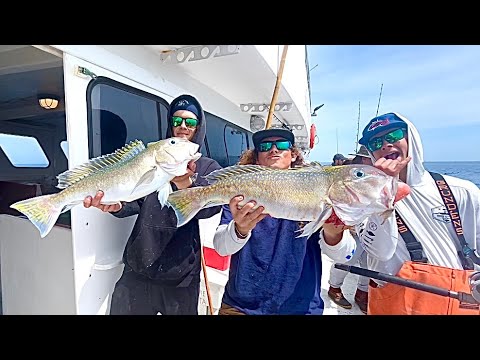 RAPTR Adventures: Episode 50 – A Canyon Quest for Golden Tilefish Aboard the Gambler