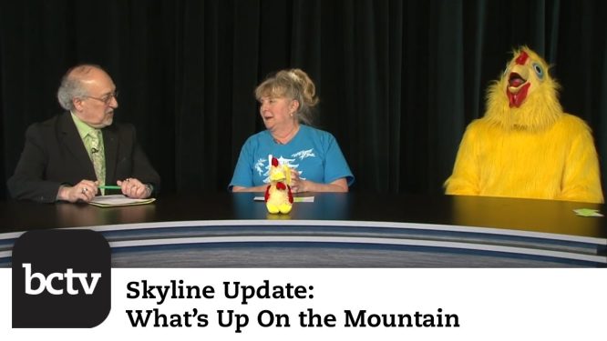 Spring Update & Chicken BBQ Preview | Skyline Update