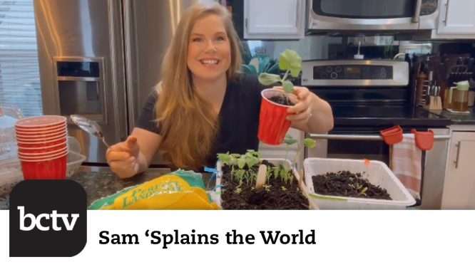 Leggy Seedlings | Sam ‘Splains the World