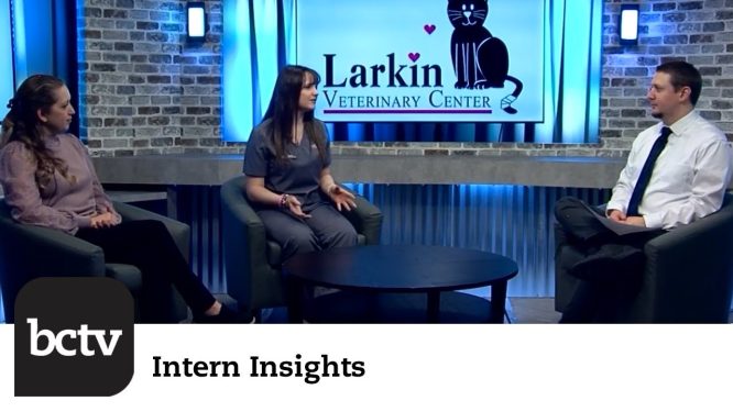 Wyomissing High School | Intern Insights