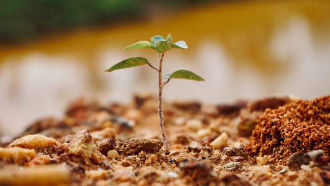 Berks County’s 2025 Earth Day Festival