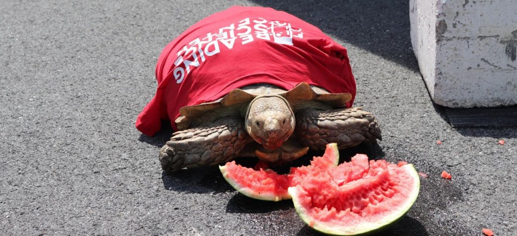 Celebrate Science Day Returns – May The Force Be With You!