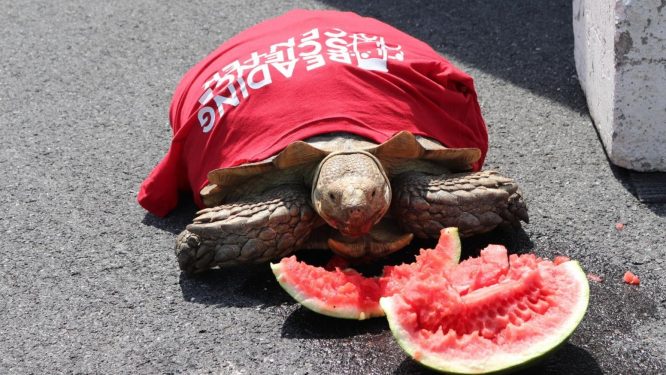 Celebrate Science Day Returns – May The Force Be With You!