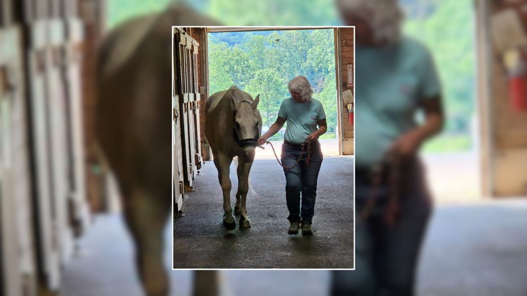 Muhlenberg Greene Architects Honors Long-Time Employee With Special Day at Ryerss Farm