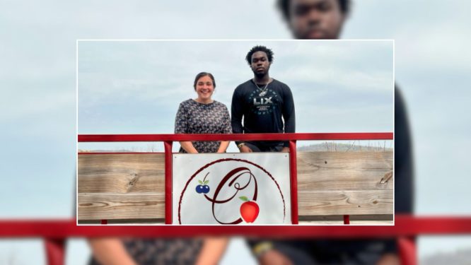 An Adventurous Day at Brecknock Orchard