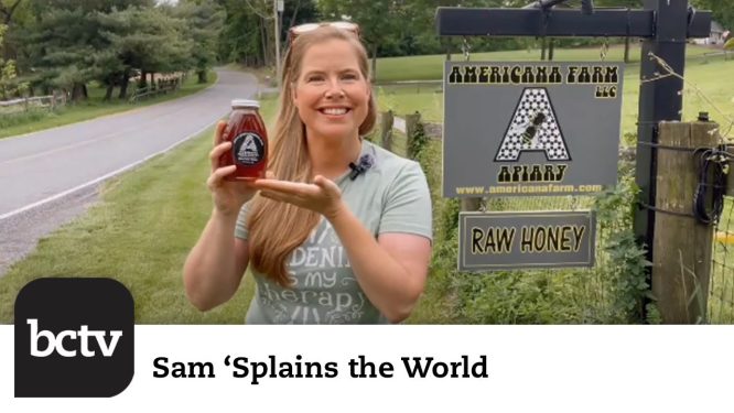 Fieldtrip Edition Americana Apiary (Part 2) | Sam ‘Splains the World