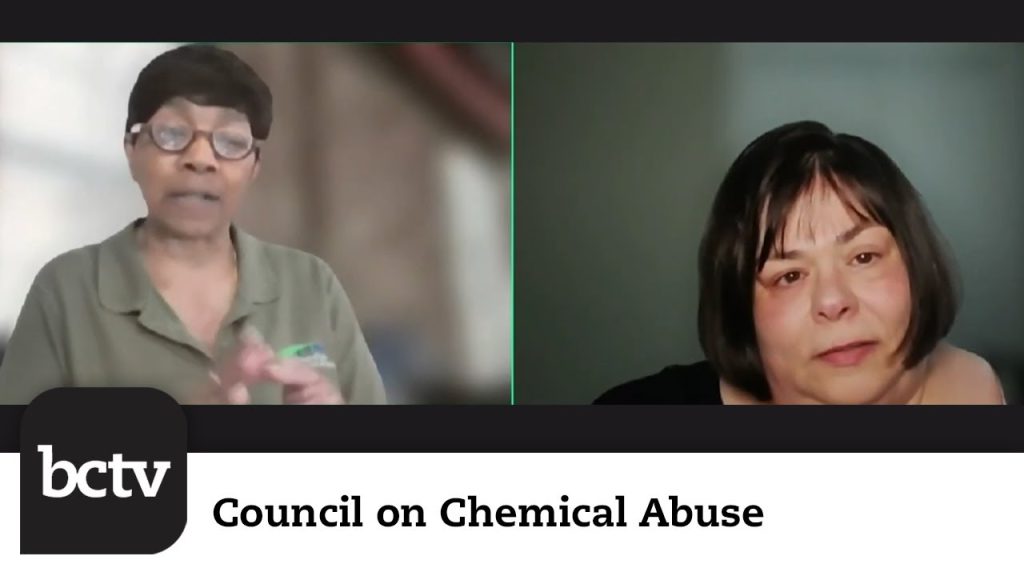 Summer Prevention Program for Youth – Prevention in the Parks | Council on Chemical Abuse