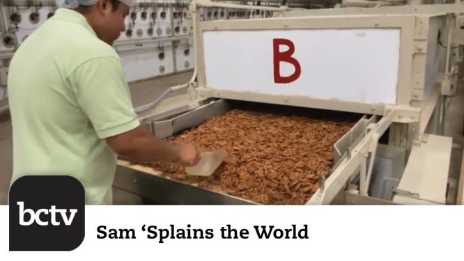 Field Trip to Tom Sturgis Pretzels | Sam ‘Splains the World