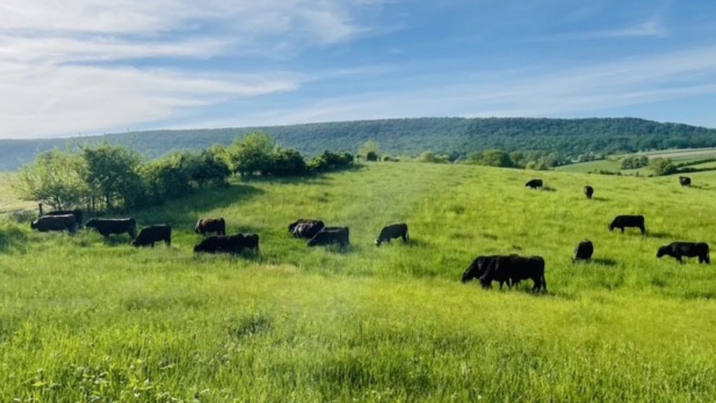 Greater Berks Development Fund Secures Pennsylvania Catalyst Loan for Local Family