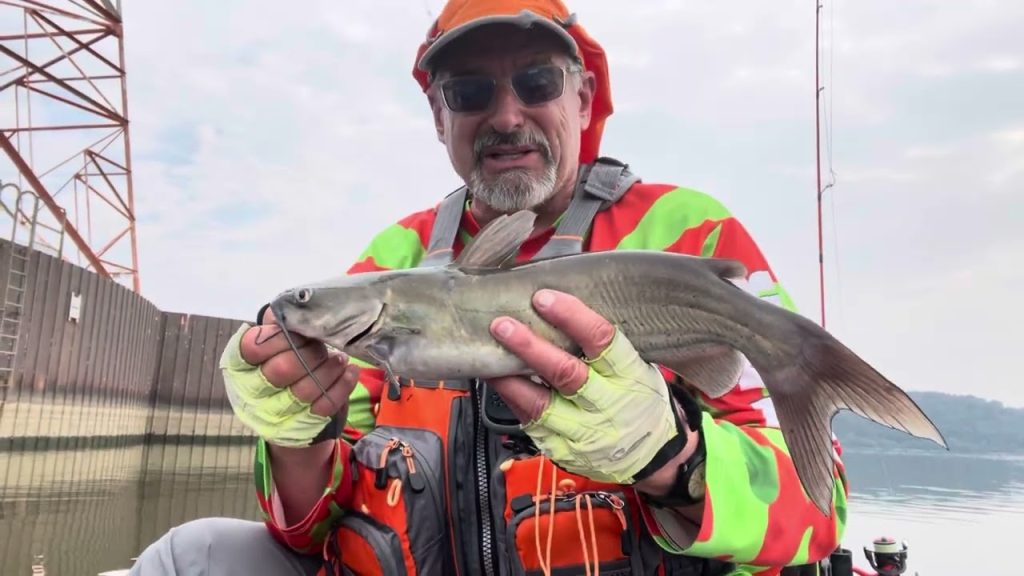 RAPTR Adventures: Episode 56 – A Tale of Two Rivers