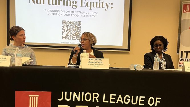Junior League of Reading Hosts “Nurturing Equity” Panel Discussion