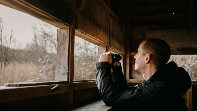 Reading & Berks County Visitors Bureau Partners with Hawk Mountain Sanctuary to Celebrate Birdability Week