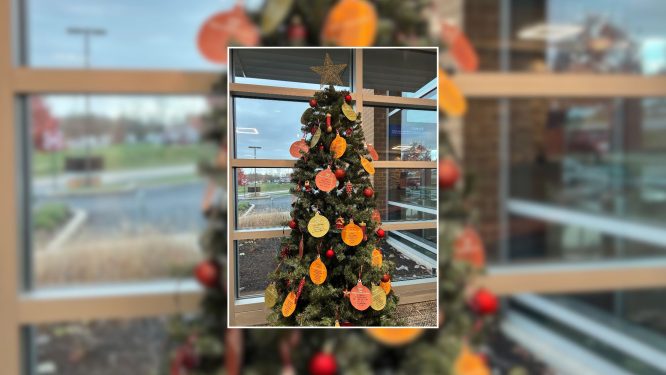 Discovery Federal Credit Union Puts Up Annual Angel Tree to Benefit Families at Opportunity House