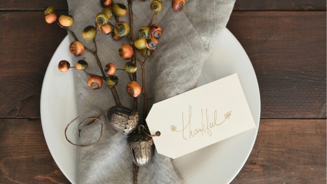 Serve Love This Thanksgiving: Local Businesses Unite to Support Berks County Families