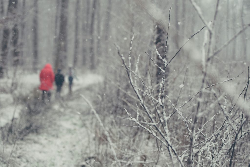 Join Berks County Parks & Recreation for January 2026 in the Parks