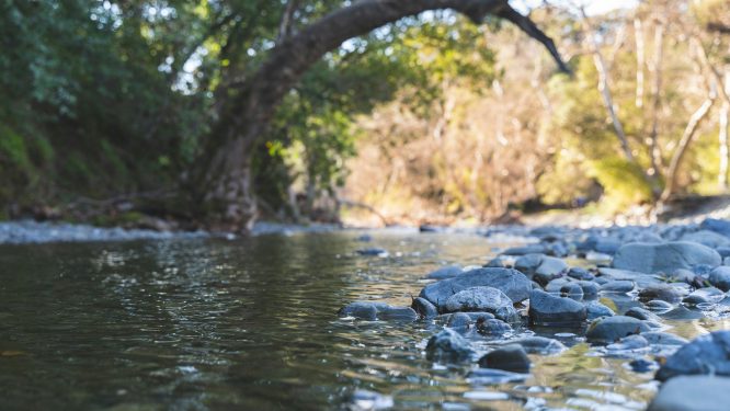 Rep. Maloney Secures Grant for Oysterdale Creek Restoration Project