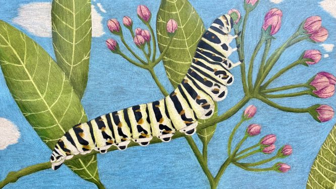 Annual Senior High School Juried Art Exhibit Opens at Yocum Institute