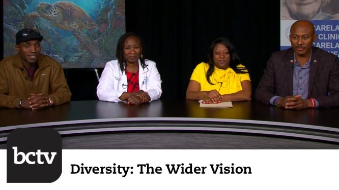 A Celebration of Haitian-Americans’ Contributions | Diversity: The Wider Vision