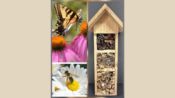 Daniel Boone Homestead Hosts Pollinator Workshop