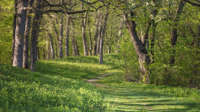 March 2026 in the Parks