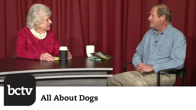 Changes in Veterinary Medicine | All About Dogs