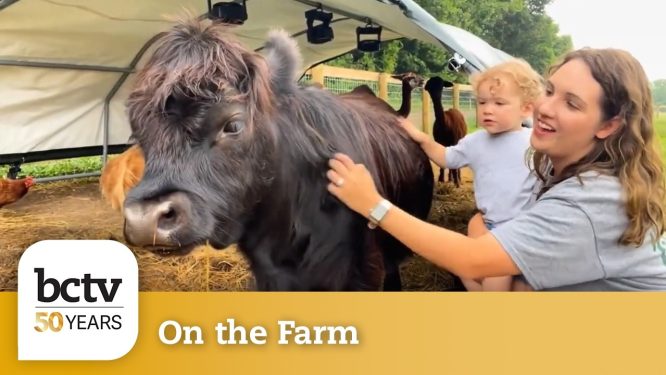 50 Years of BCTV: On the Farm