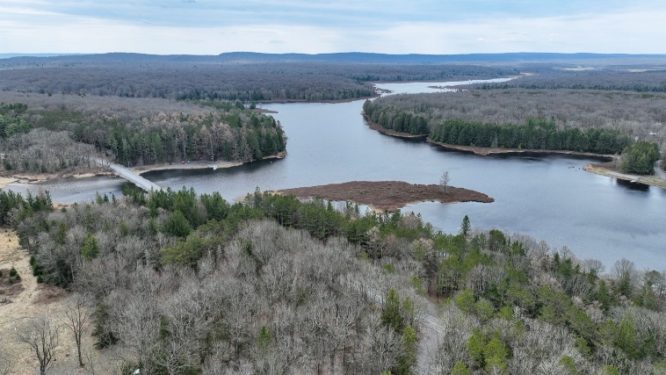 New Statewide Volunteer System to Expand Access to Outdoor Service Opportunities