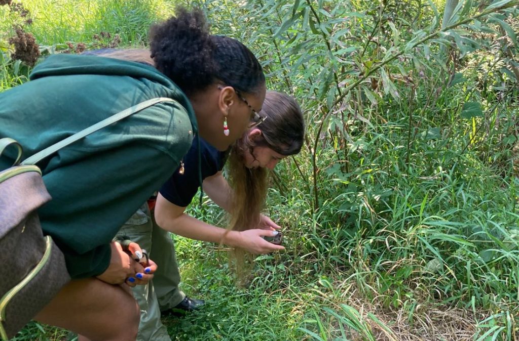 Penn State Berks and Berks Nature Coordinate City Nature Challenge